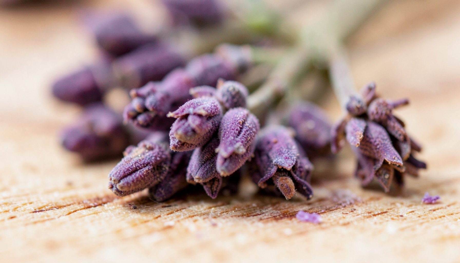 Närbild av torra lavendelblommor och kvistar i dämpat violett och rostbrunt på en ljus träyta